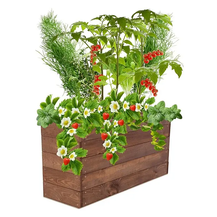 Hochbeete Growline Holz | HxBxT 45x93x30 cm | Kieferholz | Braun -  - Brauner Holzpflanzkasten mit Erdbeeren, Johannisbeeren, Dill und Kräutern.