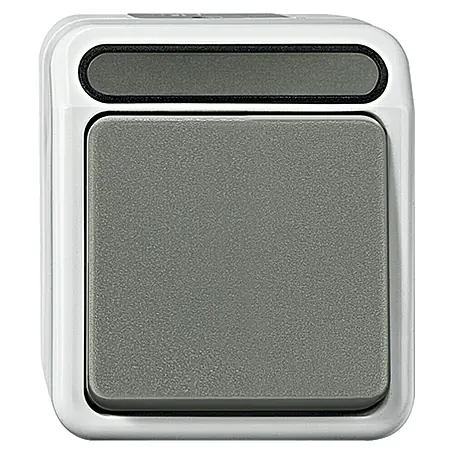 Merten Aquastar Taster MEG3150-8029