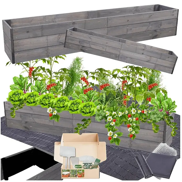 Hochbeete Growline Holz | HxBxT 27x163x30 cm | Kieferholz | Grau -  - Graues Hochbeet-Set aus Holz mit Pflanzen, Gartengeräten und Zubehör.