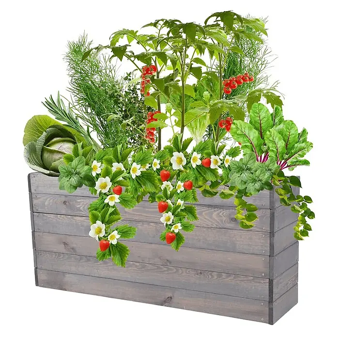 Hochbeete Growline Holz | HxBxT 54x120x30 cm | Kieferholz | Grau -  - Graues Holz-Pflanzgefäß gefüllt mit verschiedenen Gemüse-, Obst- und Kräuterpflanzen.