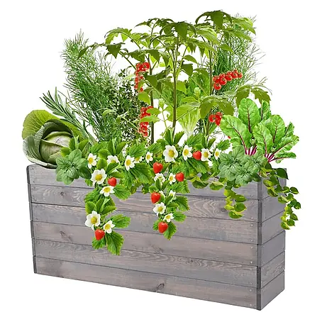 Hochbeete Growline Holz | HxBxT 54x120x30 cm | Kieferholz | Grau
