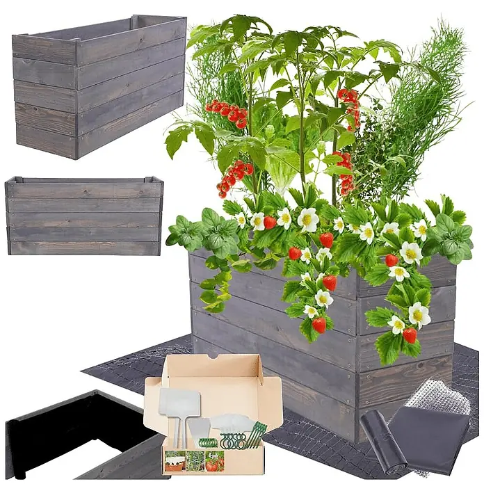 Hochbeete Growline Holz | HxBxT 45x103x30 cm | Kieferholz | Grau -  - Graues Hochbeet aus Holz mit Erdbeeren, Tomaten, Kräutern und Gartenzubehör.