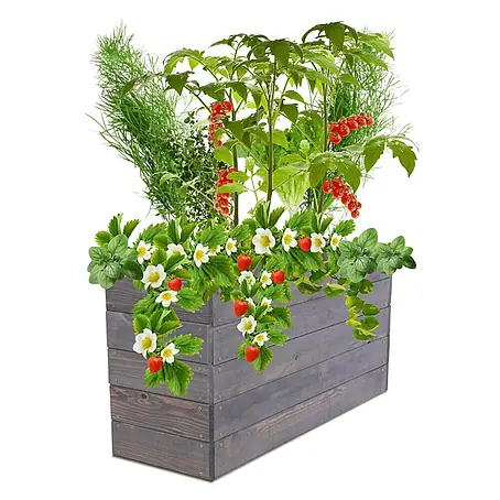 Hochbeete Growline Holz | HxBxT 45x103x30 cm | Kieferholz | Grau