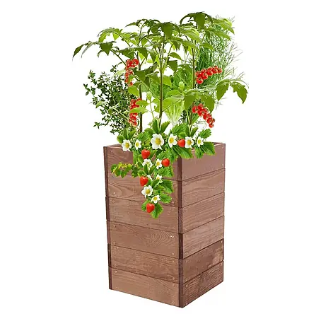 Hochbeete Growline Holz | HxBxT 54x33x30 cm | Kieferholz | Braun