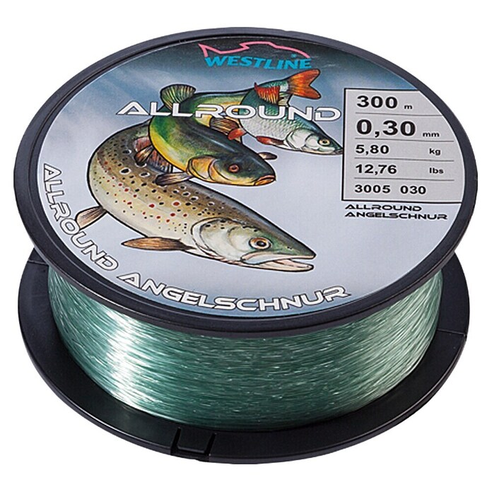 Westline Visdraad 0,3 mm (0,3 mm, 5,8 kg, 300 m)