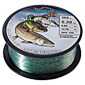 Westline Visdraad 0,3 mm (0,3 mm, 5,8 kg, 300 m)