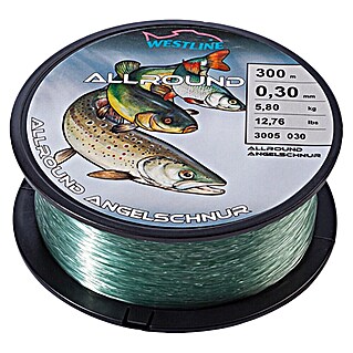 Westline Visdraad 0,3 mm (0,3 mm, 5,8 kg, 300 m)