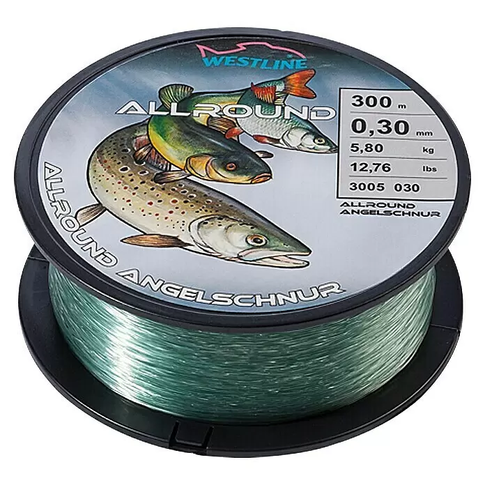 Westline Angelschnur - 0,3 mm, 5,8 kg, 300 m - Ansicht von oben