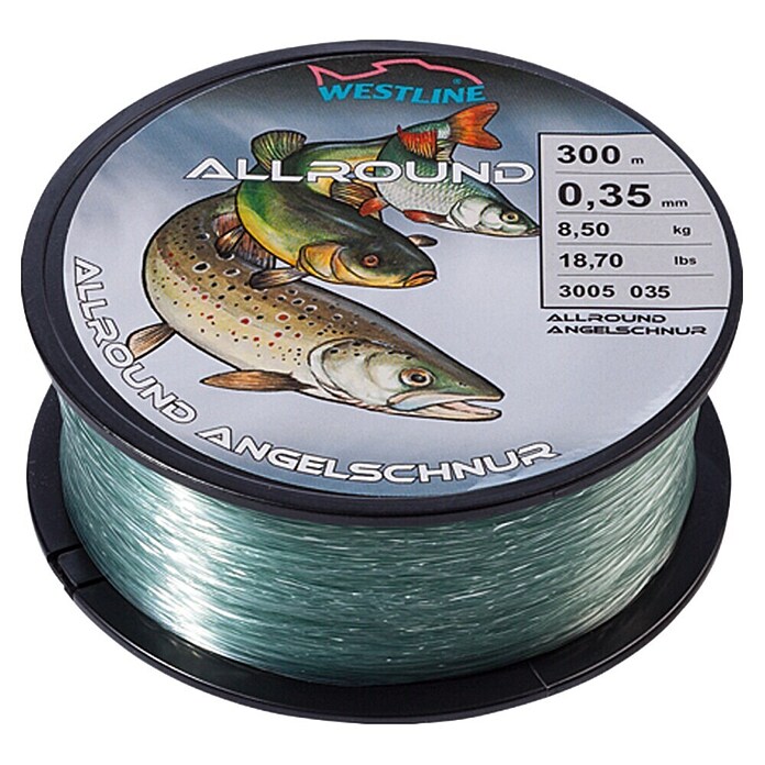 Westline Visdraad 0,35 mm (0,35 mm, 8,5 kg, 300 m)