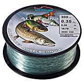 Westline Visdraad 0,35 mm (0,35 mm, 8,5 kg, 300 m)