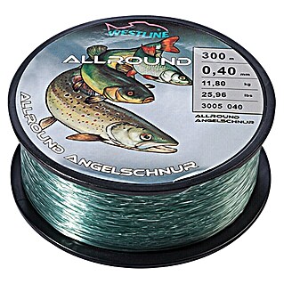 Westline Visdraad 0,4 mm (0,4 mm, 11,8 kg, 300 m)