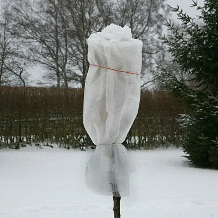Floraworld Luftpolsterfolie - 500 x 100 cm, Stärke: 80 µm - Nahaufnahme eines jungen Baumes, der mit einem weißen Schutzvlies umwickelt ist, um ihn vor Frost im Winter zu schützen.