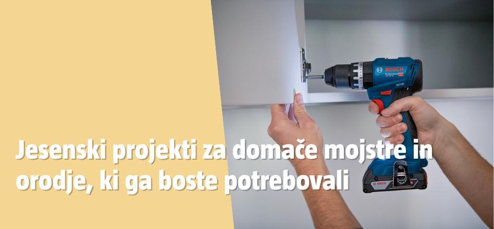 Naslovna slika Jesenski projekti