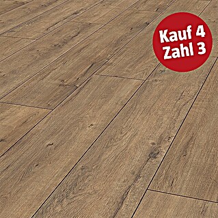 LOGOCLIC Ambienta Laminat (Eiche Apolo, Landhausdiele, 1.288 x 195 x 10 mm)