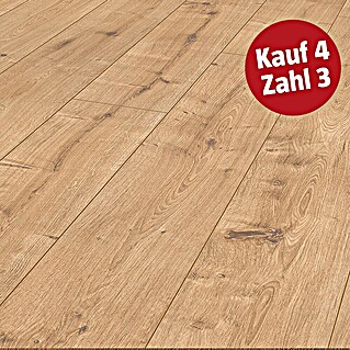LOGOCLIC Ambienta Laminat (Eiche Napoli, Landhausdiele, 1.288 x 195 x 10 mm)