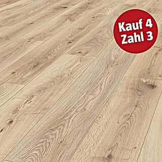 LOGOCLIC Ambienta Laminat (Honig Eiche, Landhausdiele, 1.288 x 195 x 10 mm)