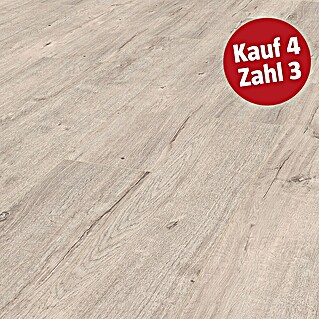 LOGOCLIC Ambienta Laminat (Aurora, Landhausdiele, 1.288 x 195 x 10 mm)