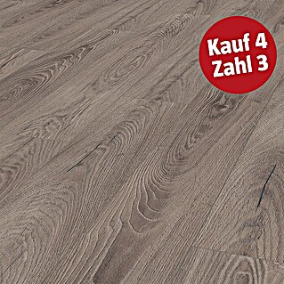LOGOCLIC Ambienta Laminat (Venus, Landhausdiele, 1.288 x 195 x 10 mm)