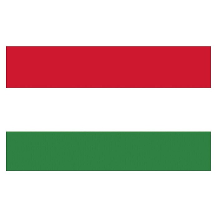Flagge (Ungarn, B x L: 30 cm x 20 mm) | BAUHAUS