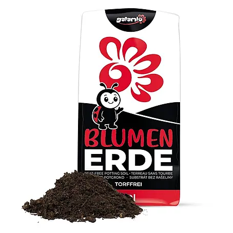 Blumenerde torffrei 40l