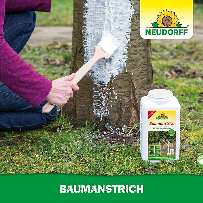 Neudorff