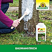 Neudorff