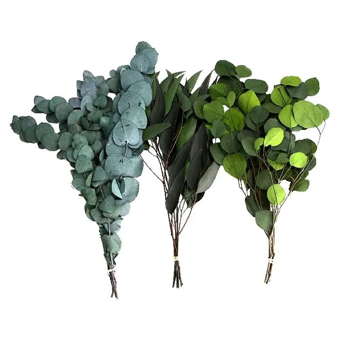 Rama artificial Eucalipto - 80 cm, Plástico - Tres manojos de follaje decorativo: eucalipto verde plateado, hojas verde oscuro y hojas redondas verde claro, atados.