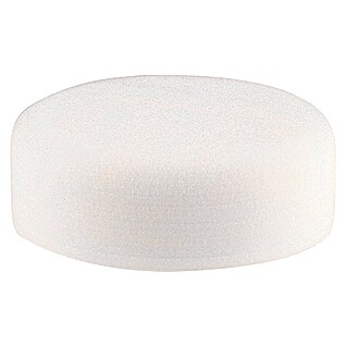 Yachtcare Polishing Pad Foam (Ø x H: 150 x 50 mm, Schaumstoff)