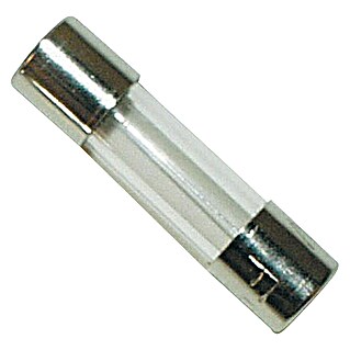 Talamex Glaszekering 5 A (5 A, 4 st., Diameter: 6,3 mm, Lengte: 32 mm)