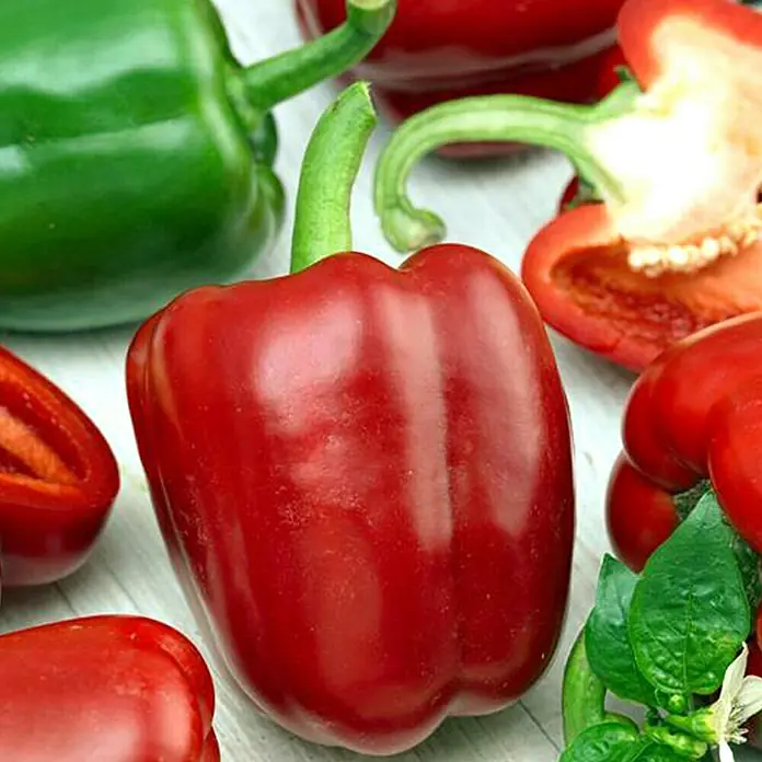 Piardino Paprika - Capsicum annuum, 9 cm, Erntezeit: August, Farbe Frucht: Rot - Nahaufnahme von verschiedenen Paprikaschoten in Rot und Grün, die auf einem Tisch liegen.