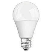 Voltolux Bombilla LED (14,5 W, E27, Blanco cálido, 1.521 lm)