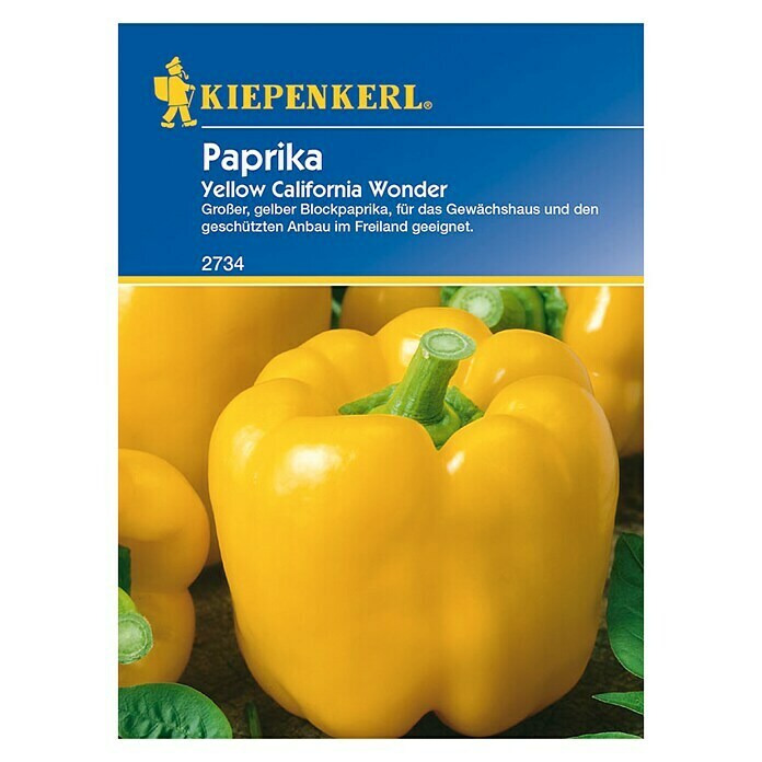 Kiepenkerl Paprika Yellow California Wonder (Capsicum annuum, Inhalt ausreichend für: Ca. 12 Pflanzen)