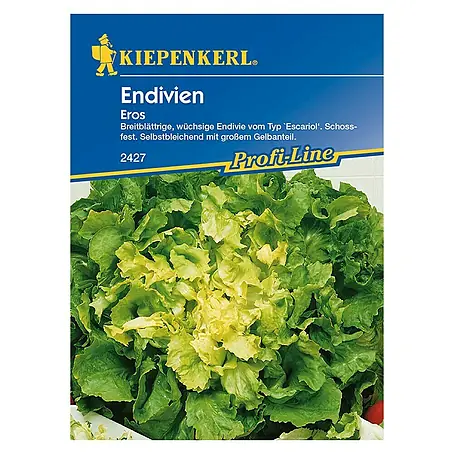 Kiepenkerl Profi-Line Salatsamen Endivie Eros