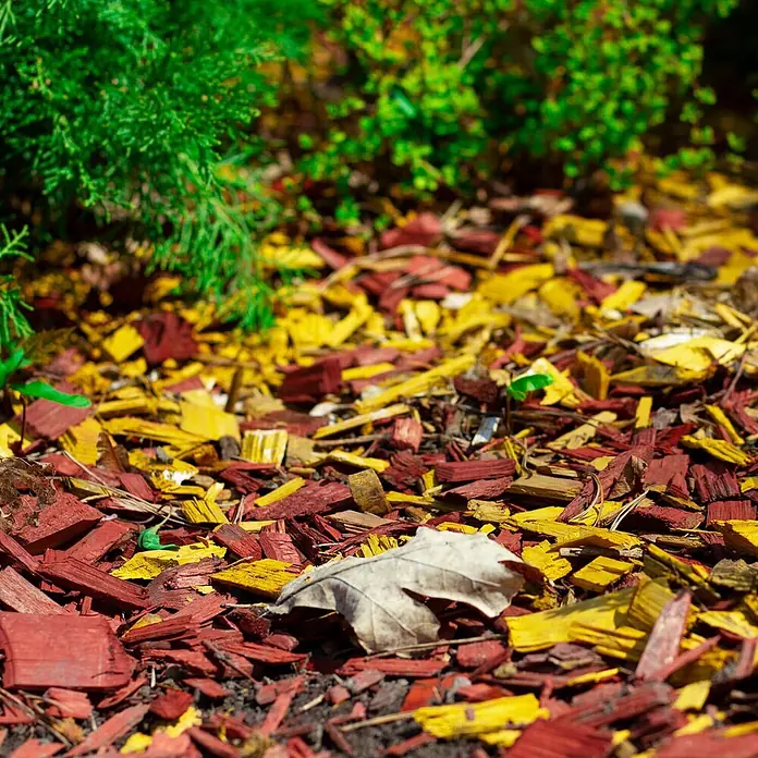 Hackschnitzel Holzdekor Gelb 5-60 mm 60l -  - Roter und gelber Holzmulch bedeckt den Boden eines Gartenbeetes mit grünen Pflanzen und einem trockenen Blatt.