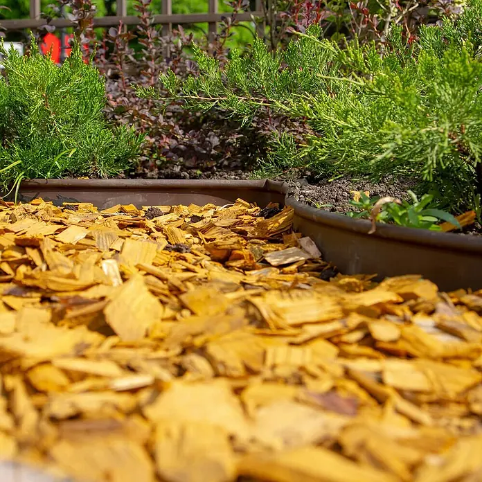 Hackschnitzel Holzdekor Gelb 5-60 mm 60l -  - Braune Gartenumrandung mit gelben Holzspänen neben grünen Pflanzen und dunkler Erde.
