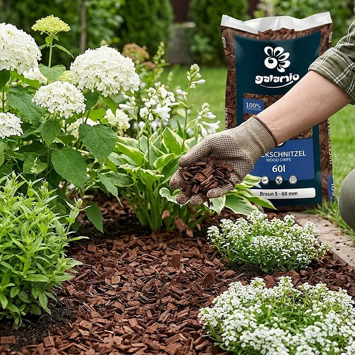 Hackschnitzel Holzdekor Braun 5-60 mm 60l -  - Galamio 601 braune Holzspäne (5-60mm) werden von Hand im Gartenbeet verteilt.
