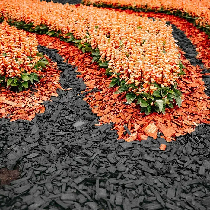 Hackschnitzel Holzdekor Orange 5-60 mm 60l x 12 Sack 720l 12er Palette -  - Blumenbeet mit Reihen orangefarbener Blumen, umrandet von rotem und schwarzem Holzmulch in einem Zierarrangement.