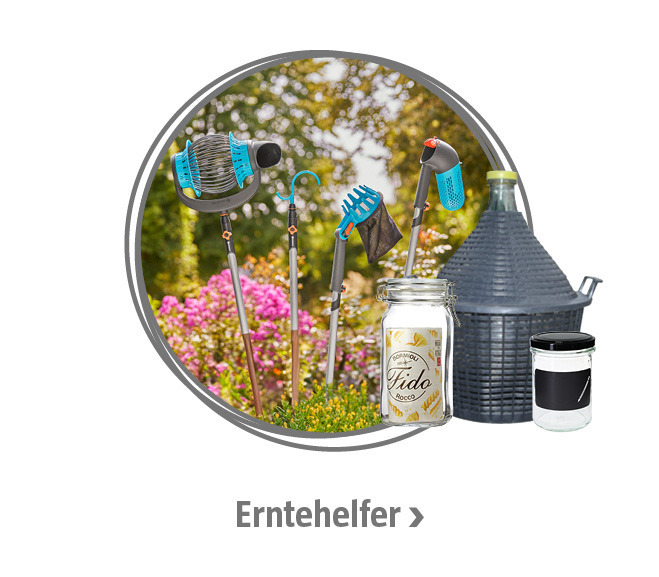 Verschiedene Erntehelfer für die Obsternte