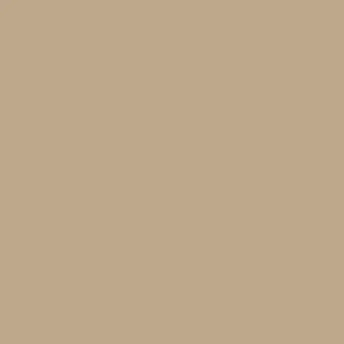 Dupli-Color Next Sprühlack Next Generation - Whisper Brown, Seidenmatt, 400 ml - Farbmuster