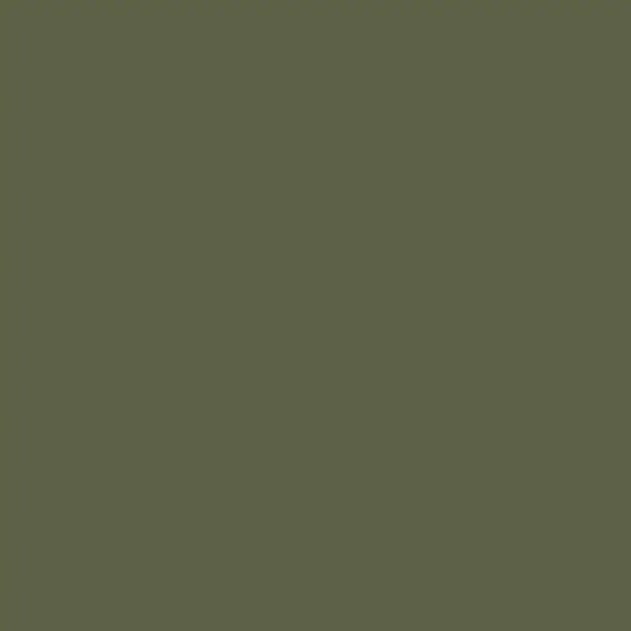 Dupli-Color Next Sprühlack Next Generation - Evergreen, Seidenmatt, 400 ml - Farbmuster