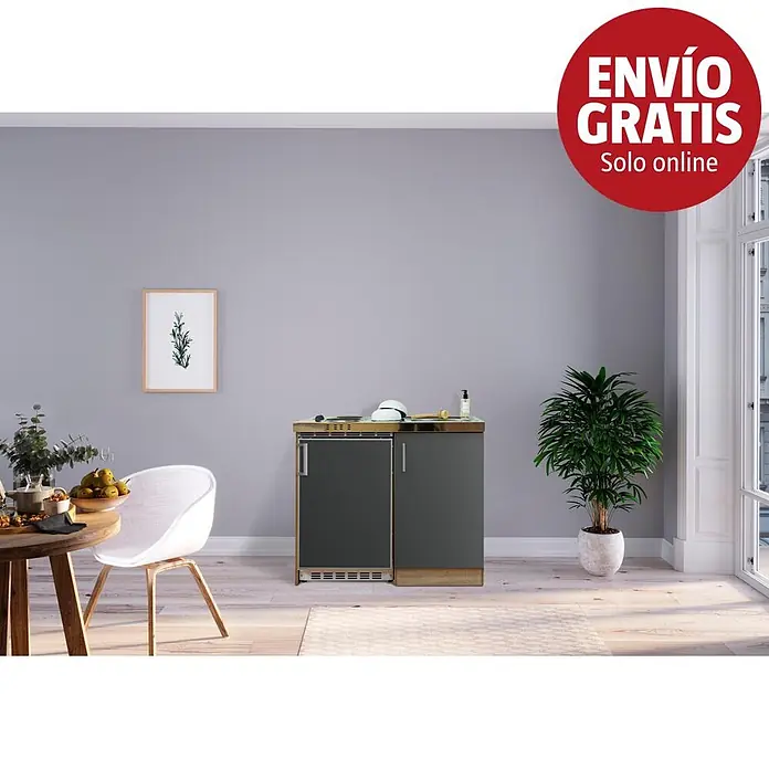 Respekta Minicocina Levin - Ancho: 100 cm, Gris, Con placa de cocina doble - Bloque de cocina compacto con puertas gris oscuro y detalles de madera, con nevera y armario, en un espacio moderno.