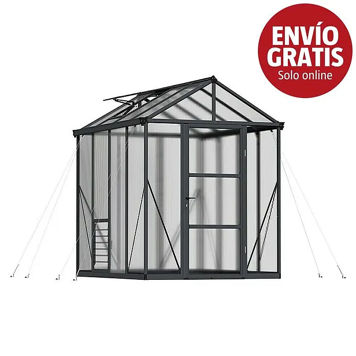 Palram – Canopia Invernadero Glory - Medidas ext. (An x Pr): 195,5 x 244,5 cm, 10 mm, Antracita - Invernadero gris oscuro con paredes y techo translúcidos, puerta abatible y ventana de techo.