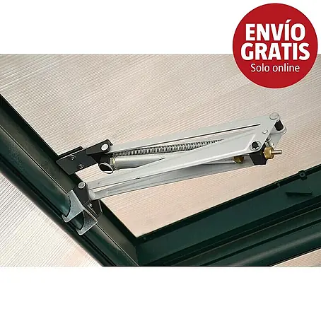 Rion Apertura automática de ventana