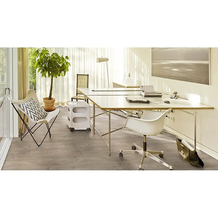 PVC-Boden Meterware Vinylboden 2m Holzoptik Diele Eiche hell-grau -  - Heller grauer Holzboden in einem hellen Büroraum mit Tischen und einer Pflanze, zeigt seine natürliche Holzmaserung.