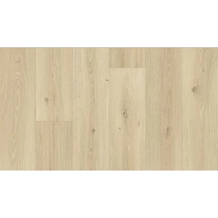 PVC-Boden Meterware Vinylboden 4m Diele Eiche creme rustikal -  - Helle, beige Holzbodenpaneele mit natürlicher Eichenmaserung und feinen Ästen.