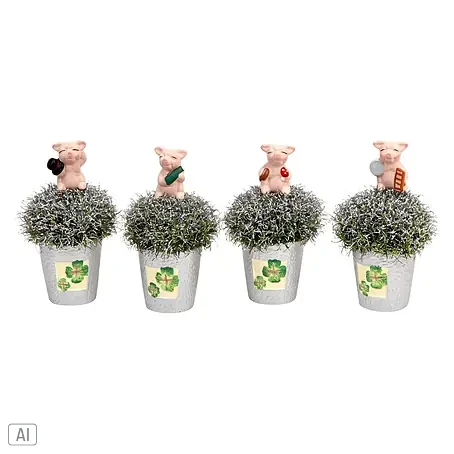 Piardino Sternmoos