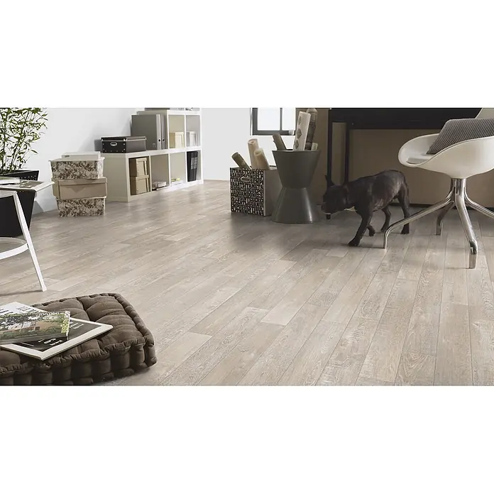 PVC-Boden Meterware Vinylboden 4m Diele Eiche hell-grau -  - Heller Laminatboden in Holzoptik in einem Home-Office mit Hund und Möbeln.