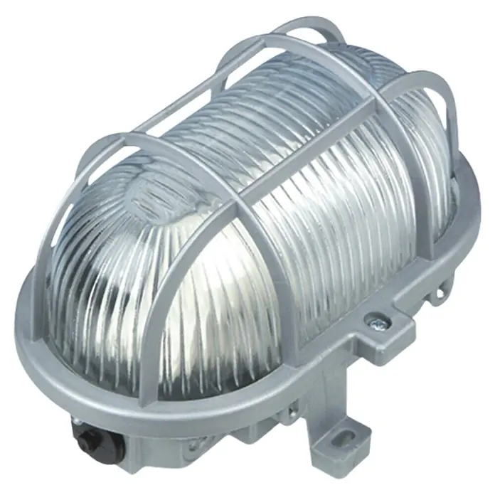 Ritter Leuchten LED-Wand- & Deckenleuchte - IP44, Silber, 175 x 105 x 125 mm - Nahaufnahme einer robusten, ovalen Schiffslampe mit schützendem Käfig und geriffeltem Glas für den Außenbereich.