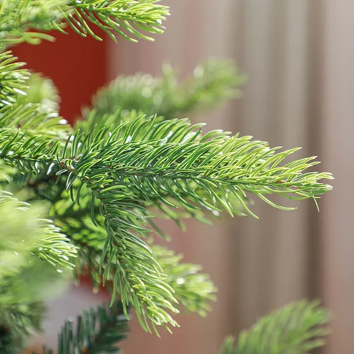 HOMCOM-Weihnachtsbaum-Ø122 x 183H cm-Grün -  - Nahaufnahme einer leuchtend grünen künstlichen Fichtenzweigs mit realistischen Nadeln. Ideal zur Dekoration.