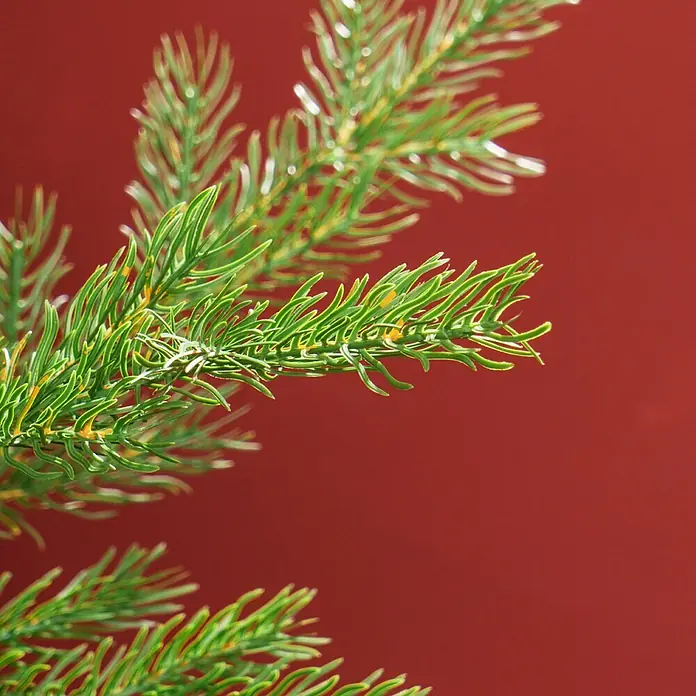 HOMCOM-Weihnachtsbaum-Ø100 x 150H cm-Grün -  - Grüner Tannenzweig mit feinen Nadeln.